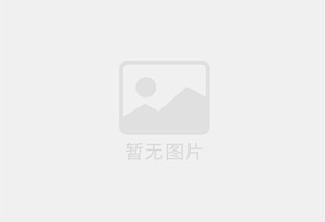 蒸青茶系列